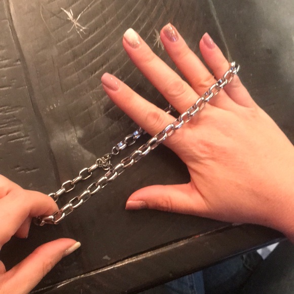 Brandy Melville Thick Silver Chain 